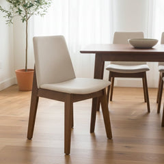 كرسي طعام - Divano