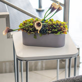 طاولة جانبية - موينا - Divano