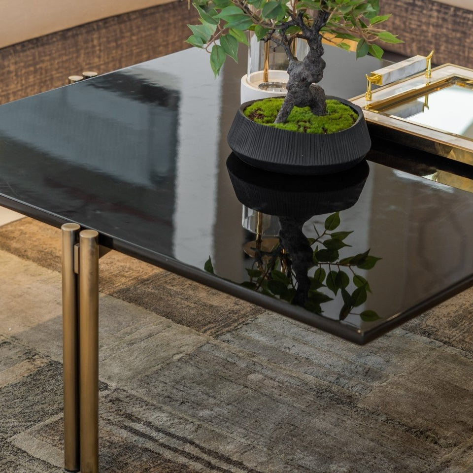 طاولة قهوة - زيبرا - Divano