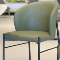 Modern Dining Chair - Green 