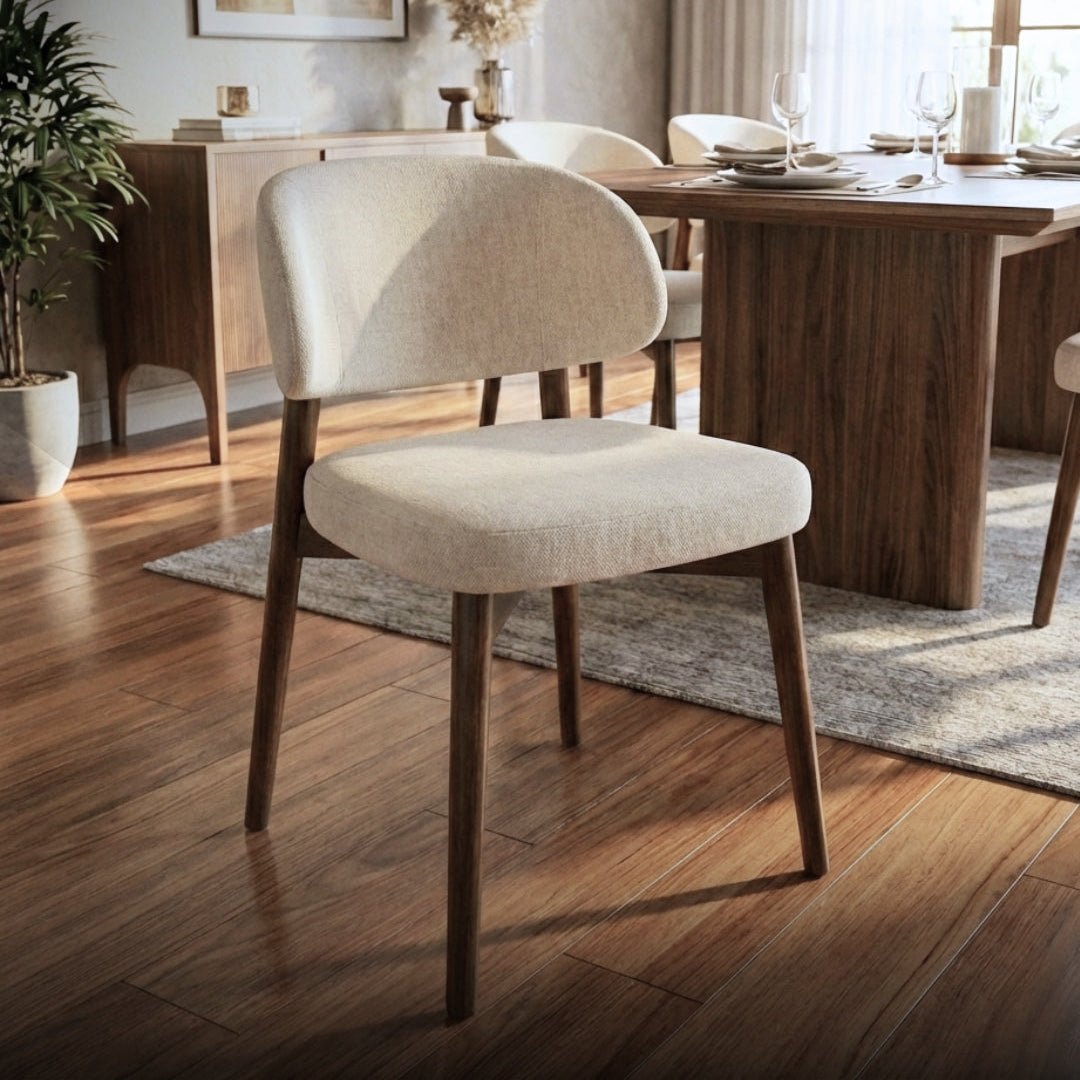 كرسي طعام - دايتون - Divano